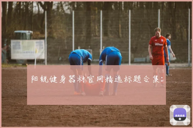 阳锐健身器材官网精选标题合集：